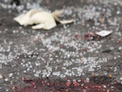 . : volgograd-times.ru