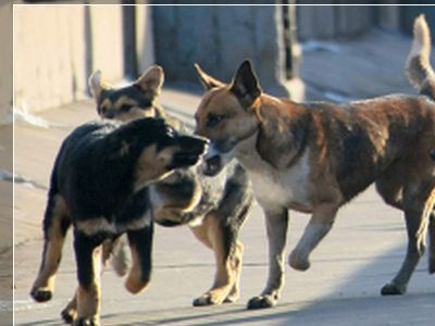 �������� ������. ����: ugrainform.ru