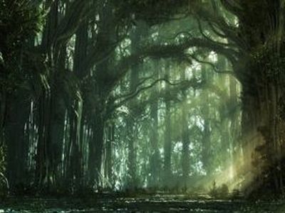 ������ ���. ����: �nimalsplayzveri.mybb.ru