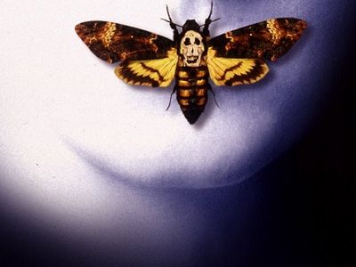 Молчание ягнят. Фото: kinofilmplus.ru Молчание ягнят. Фото: kinofilmplus.ru