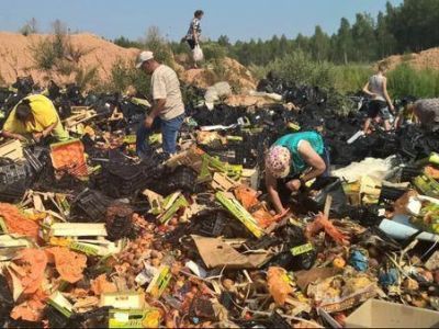 Сбор остатков продуктов. Фото: v1.std3.ru Сбор остатков продуктов. Фото: v1.std3.ru