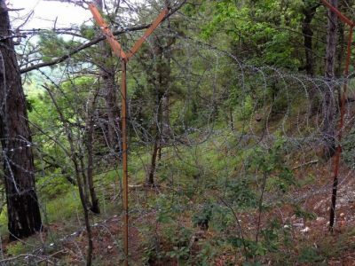 ���������� ���������� ���� ��������. ����: ewnc.nichost.ru