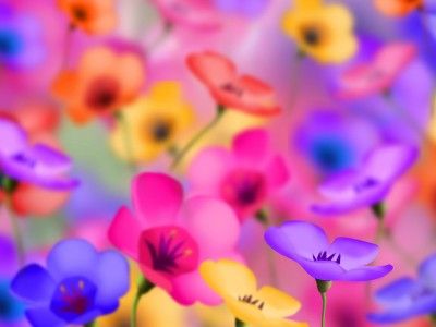 Цветы. Источник: http://loveis-cvety.ru/news/My-rady-videt-Vas Цветы. Источник: http://loveis-cvety.ru/news/My-rady-videt-Vas