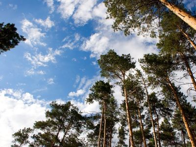 ���. ����: m.uraldaily.ru