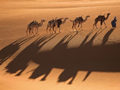 Ливия. Фото: joyreactor.cc Ливия. Фото: joyreactor.cc