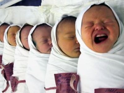 ����. ����: developmed.ru