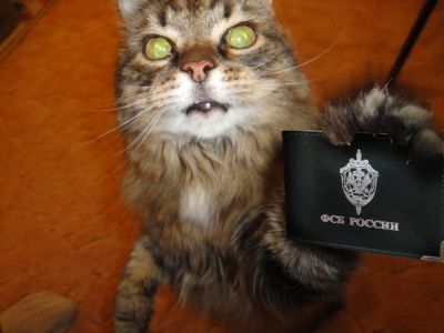 ФСБ. Фото: ruslom.ru ФСБ. Фото: ruslom.ru