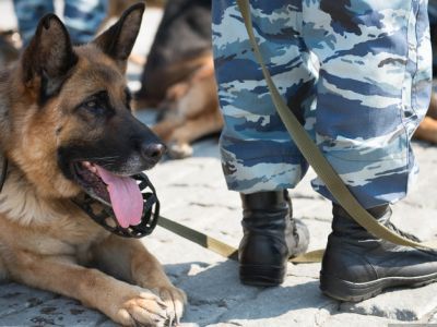 ����� � �������. ����: URA.Ru