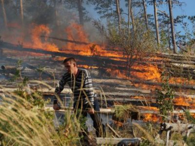 Население на борьбе с лесным пожаром. Фото: МЧС, Марина Садчикова Население на борьбе с лесным пожаром. Фото: МЧС, Марина Садчикова