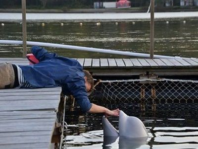 . : facebook.com/roman.fadeev.12