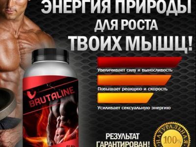 ����������, �����������. ����: psed.ru