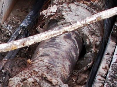 Прогнившие теплосети. Фото: Александр Воронин, Каспаров.Ru Прогнившие теплосети. Фото: Александр Воронин, Каспаров.Ru