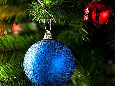 Елка. Фото: sovetland.ru Елка. Фото: sovetland.ru