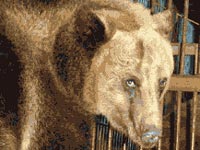 Московский зоопарк сокращает часы работы из-за спячки животных