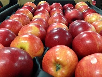 Польские яблоки. Фото: chastnik.ru Польские яблоки. Фото: chastnik.ru