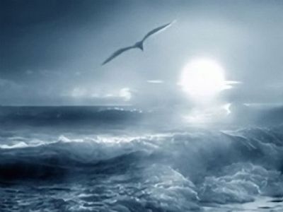 Буревестник. Фото: anapacity.com Буревестник. Фото: anapacity.com