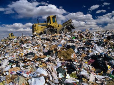 Мусор. Фото: medialeaks.ru Мусор. Фото: medialeaks.ru