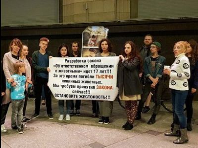 Пикет зоозащитников Пикет зоозащитников