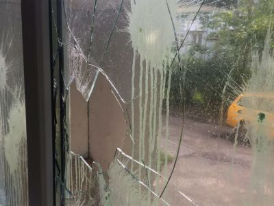  . : newkaliningrad.ru