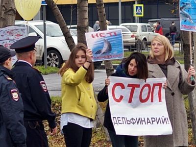 Пикет против дельфинариев. Фото: Александр Воронин, Каспаров.Ru Пикет против дельфинариев. Фото: Александр Воронин, Каспаров.Ru