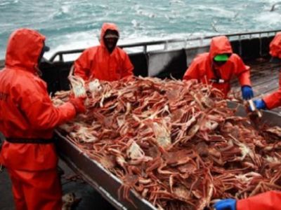 Вылов камчатского краба. Фото: kam24.ru Вылов камчатского краба. Фото: kam24.ru