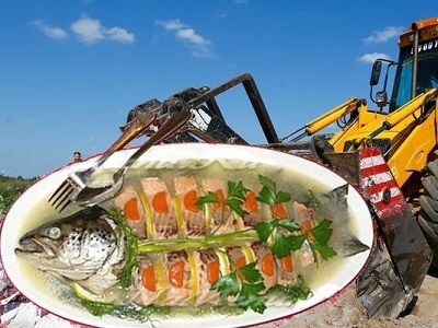 Заливная рыба как Заливная рыба как