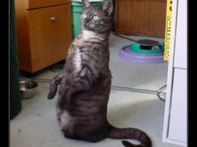   . : Desmotivaciones.es