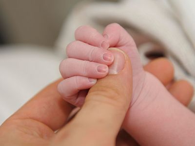 ����: Elmar Herz / imagebroker / Globallookpress