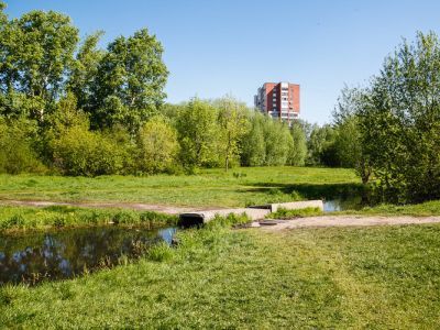  50- . : Alshevskix.66.ru