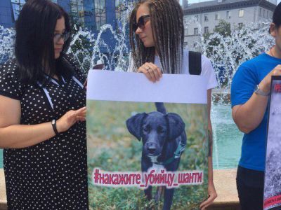 Пикет в защиту убитой собаки. Фото: Сергей Богданов, Каспаров.Ru Пикет в защиту убитой собаки. Фото: Сергей Богданов, Каспаров.Ru