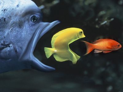 Поглощение. Фото: Lekoboz.ru Поглощение. Фото: Lekoboz.ru