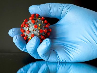 Модель коронавируса. Фото: iz.ru Модель коронавируса. Фото: iz.ru