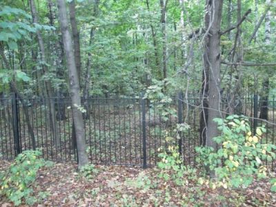 Огороженный лесопарк, Москва. Фото: sapojnik.livejournal.com Огороженный лесопарк, Москва. Фото: sapojnik.livejournal.com