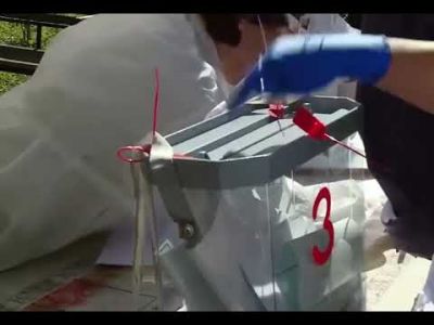 Вброс бюллетеней. Фото: скриншот. Вброс бюллетеней. Фото: скриншот.