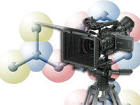 Звезды мирового кино съедутся на кинофестиваль в Казань