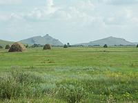 Давно пора объединяться