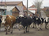 Аграрии просят у государства около 900 млрд руб на перекредитование