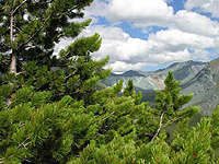 ����� �������� ������ � �������� ������� - � ������������ ������