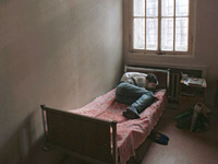 ������ ����������� ������ �������� ���������� �� ���� ����������