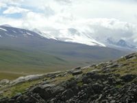 Газопровод Алтай не затронет заповедник