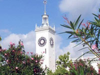 Комарова: В Сочи обсуждают инициативы по защите экологии Сочи