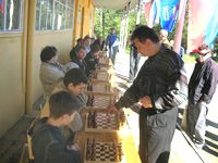 Тихий фестиваль