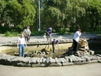 Чистый берег Карелии