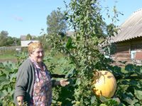 Ветераны Киришей показали свои достижения