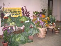 ����������� �������� � �������