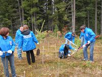 ������������� ����� ������ ���� ������