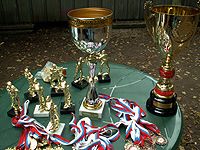 � ������ ������ ���������