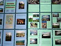 Презентация нового проекта Экология и дети