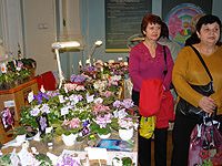 ������ ������ � �������� ������������