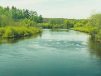 Дмитрий Медведев: В России должен быть создан единый орган экологического контроля